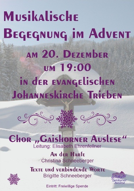 Musikalische Begegnung im Advent